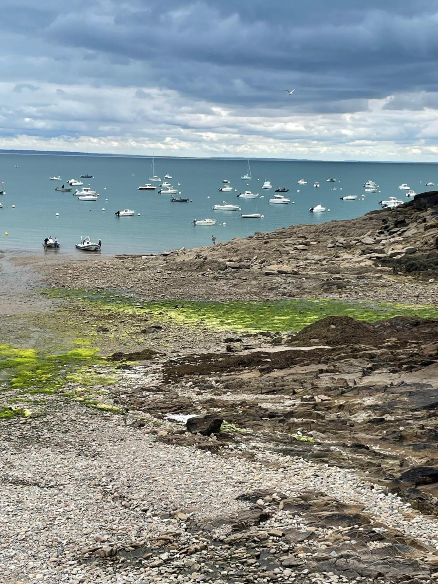 La Capitainerie Lejlighed Cancale Eksteriør billede